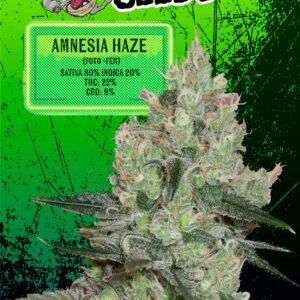 AMNESIA HAZE FEMINIZADA X3