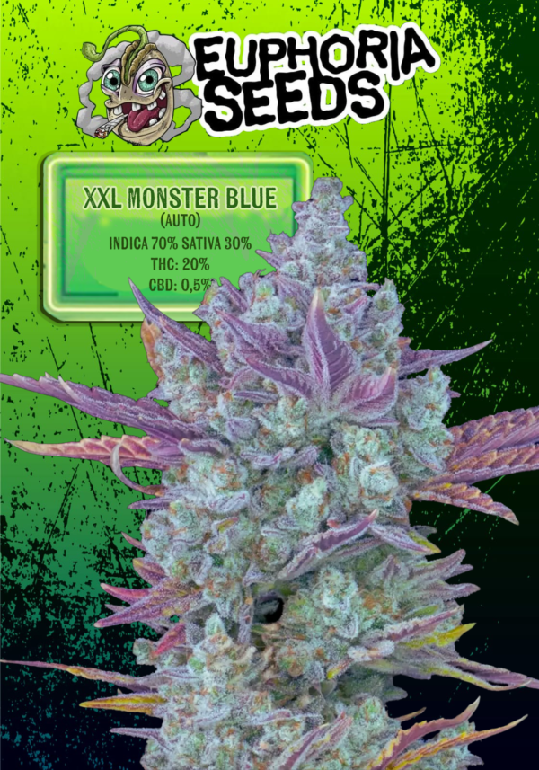 XXL MONSTER BLUE AUTOMATICA X3