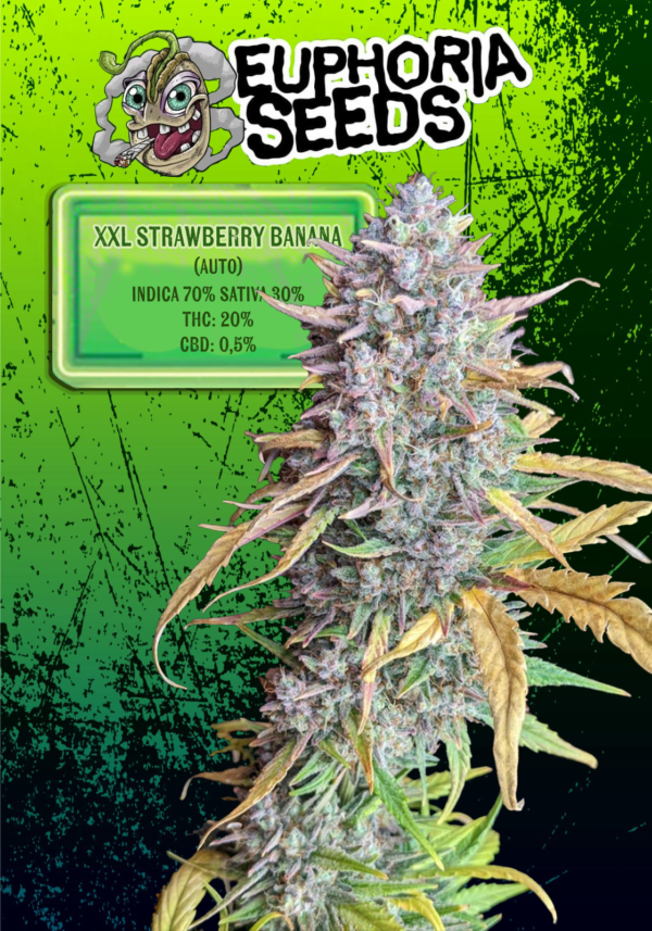 MIX 5 - AUTO X12 - JACK HERER + STRAWBERRY BANANA - Imagen 3