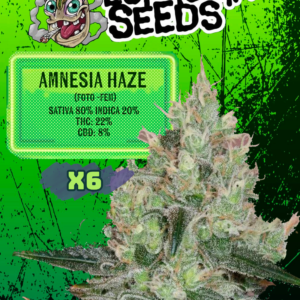 AMNESIA HAZE FEMINIZADA X6