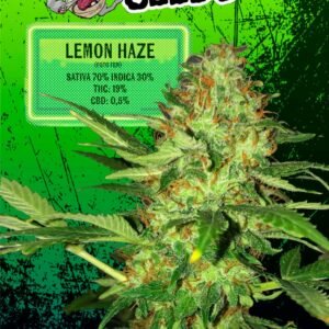 LEMON HAZE FEMINIZADA X3