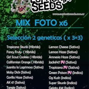 MIX FEM X6 - SELECCION 2 GENETICAS