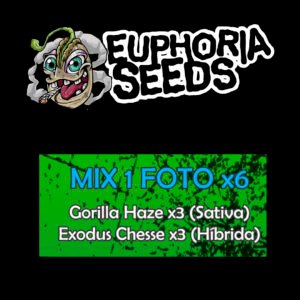 MIX 1 - FEM X6 - GORILLA HAZE + EXODUS CHEESE
