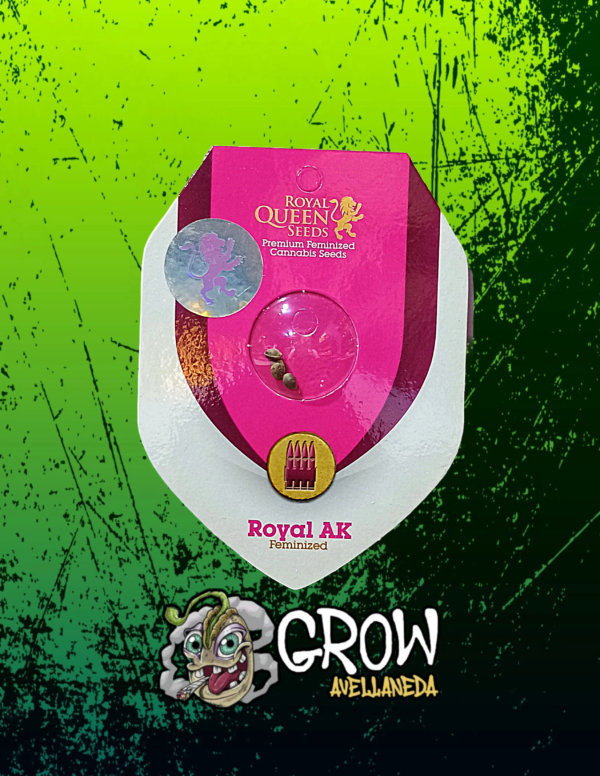 Royal Queen Seeds -Fem- Royal AK x3