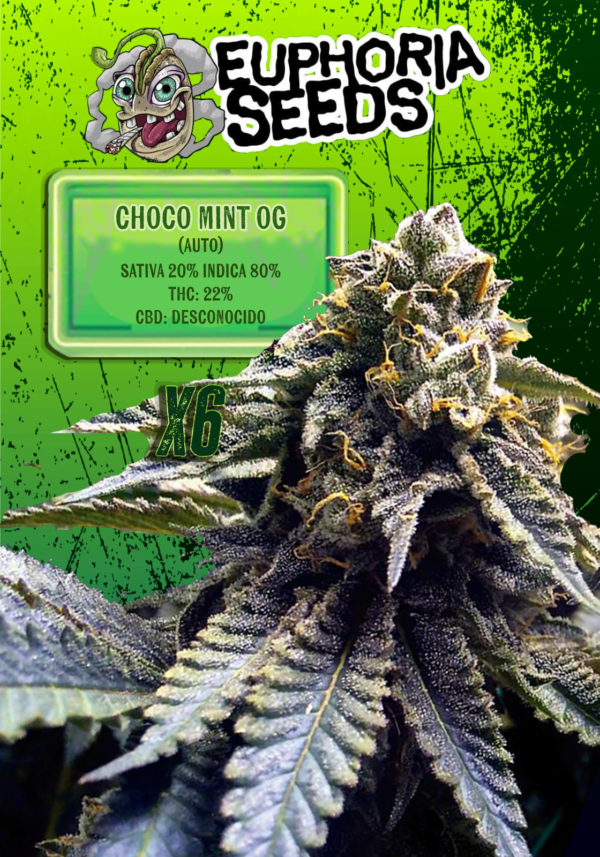CHOCOMINT OG AUTOMATICA X6