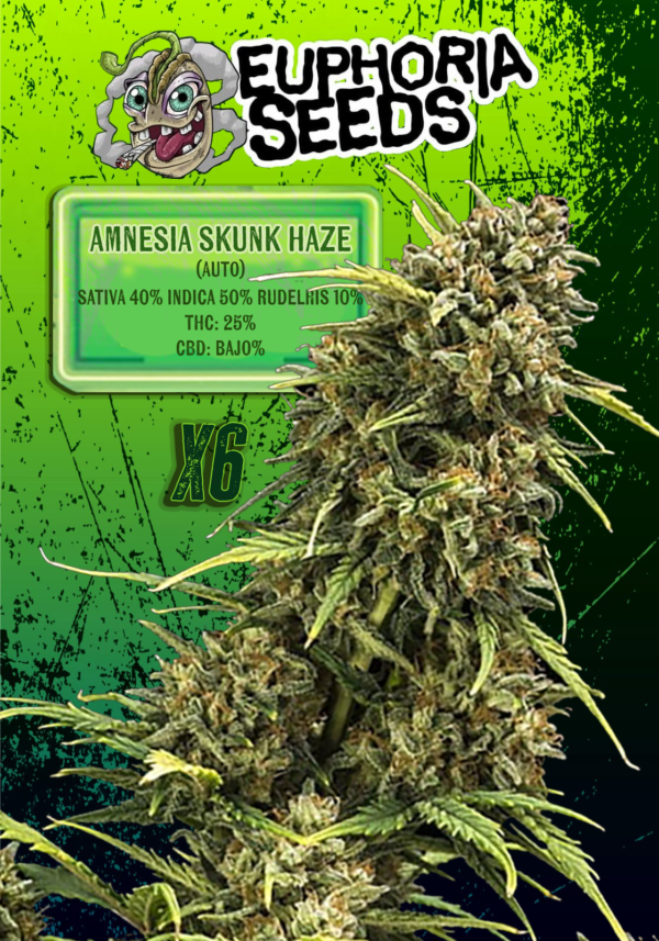 AMNESIA SKUNK HAZE AUTOMATICA X6