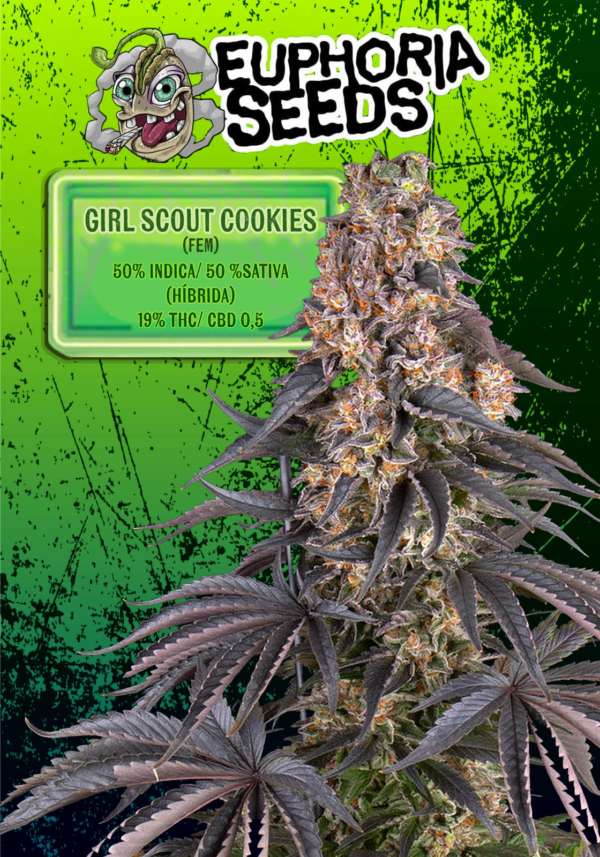 MIX 7 - FEM X6 - CALIFORNIAN ORANGE + GIRL SCOUT COOKIES - Imagen 3