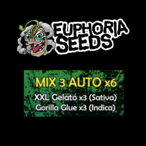 MIX 3 - AUTO X6 - XXL GELATO + GORILLA GLUE