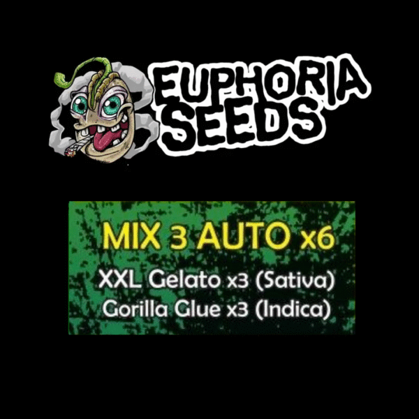 MIX 3 - AUTO X6 - XXL GELATO + GORILLA GLUE