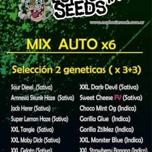 MIX AUTO X6 - SELECCION 2 GENETICAS
