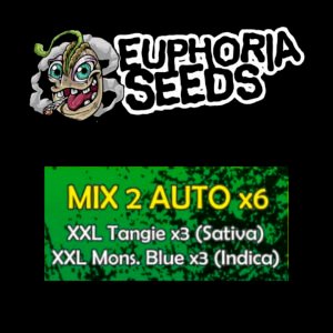 MIX 2 - AUTO X6 - XXL TANGIE + XXL MONSTER BLUE
