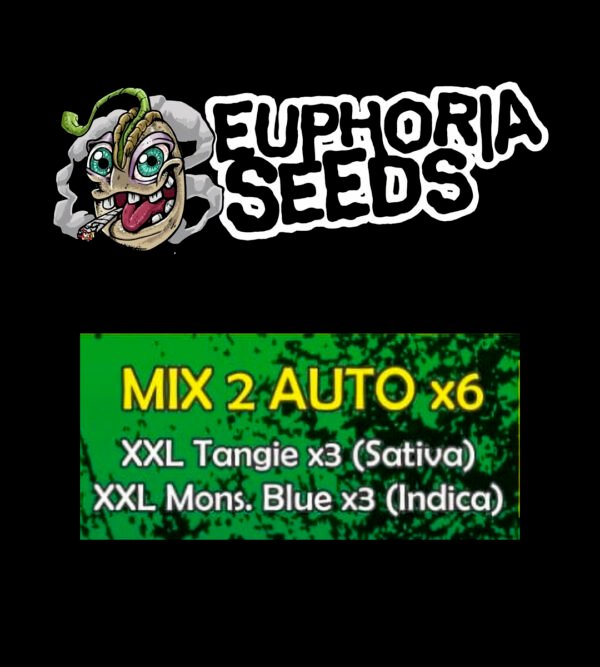 MIX 2 - AUTO X6 - XXL TANGIE + XXL MONSTER BLUE