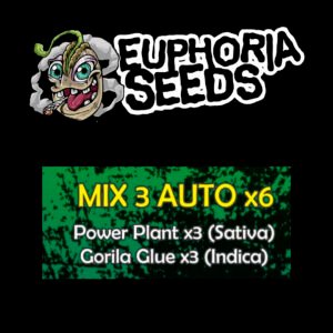 MIX 3 - AUTO X6 - POWER PLANT + GORILLA GLUE