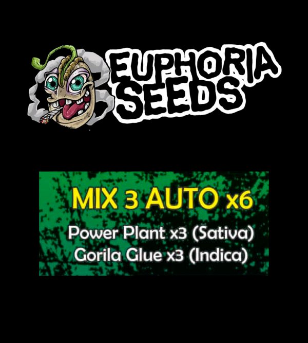 MIX 3 - AUTO X6 - POWER PLANT + GORILLA GLUE