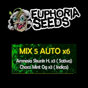 MIX 5 - AUTO X6 -AMNESIA SKUNK HAZE + CHOCO MINT OG