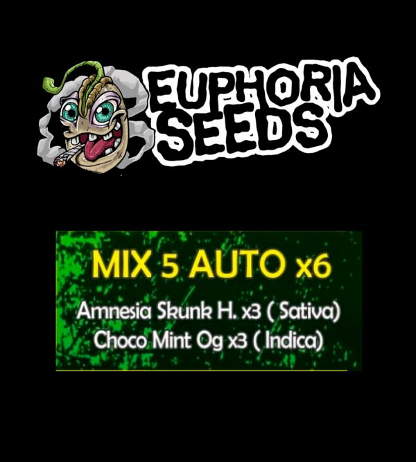 MIX 5 - AUTO X6 -AMNESIA SKUNK HAZE + CHOCO MINT OG