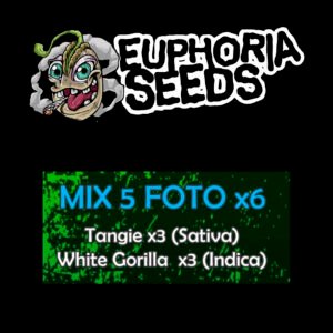 MIX 5 - FEM X6 - TANGIE + WHITE GORILLA