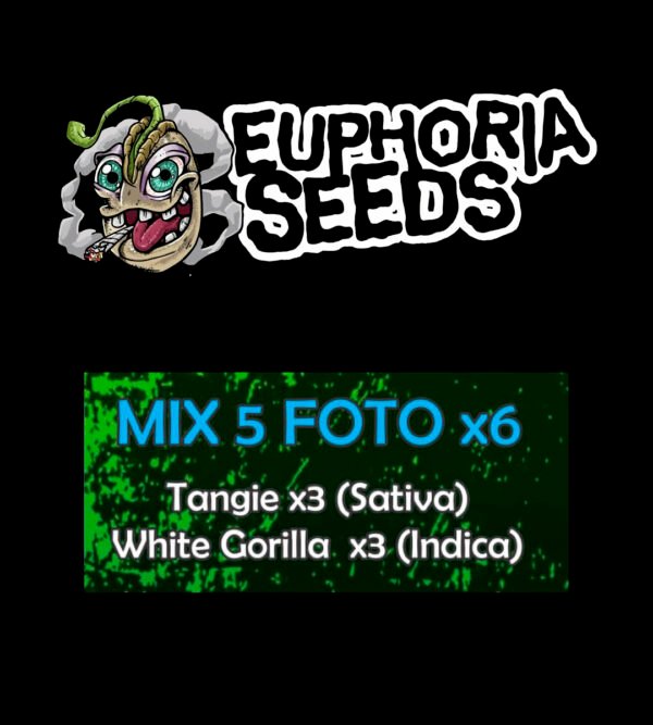 MIX 5 - FEM X6 - TANGIE + WHITE GORILLA