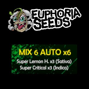 MIX 6 - AUTO X6 - SUPER LEMON HAZE + SUPER CRITICAL