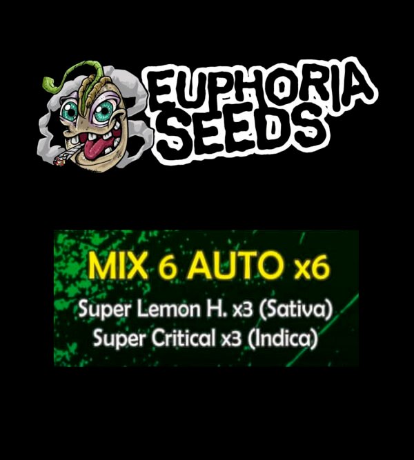 MIX 6 - AUTO X6 - SUPER LEMON HAZE + SUPER CRITICAL