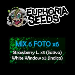 MIX 6 - FEM X6 - STRAWBERRY LEMONADE + WHITE WIDOW