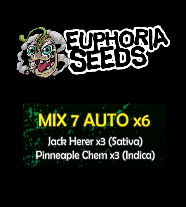 MIX 7 - AUTO X6 - JACK HERER + PINEAPPLE CHEM