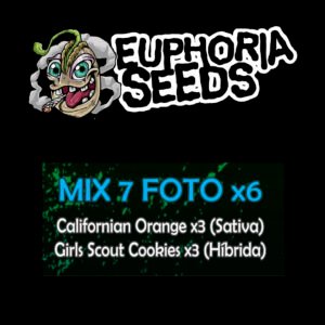 MIX 7 - FEM X6 - CALIFORNIAN ORANGE + GIRL SCOUT COOKIES