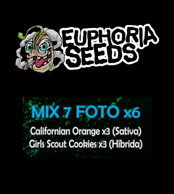 MIX 7 - FEM X6 - CALIFORNIAN ORANGE + GIRL SCOUT COOKIES