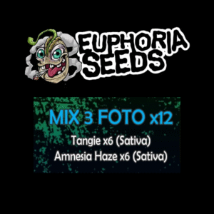 MIX 3 - FEM X12 - TANGIE + AMNESIA HAZE