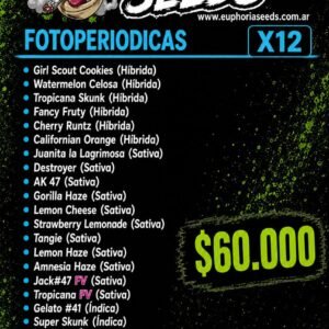 MIX FEM X12 - SELECCION 2 GENETICAS