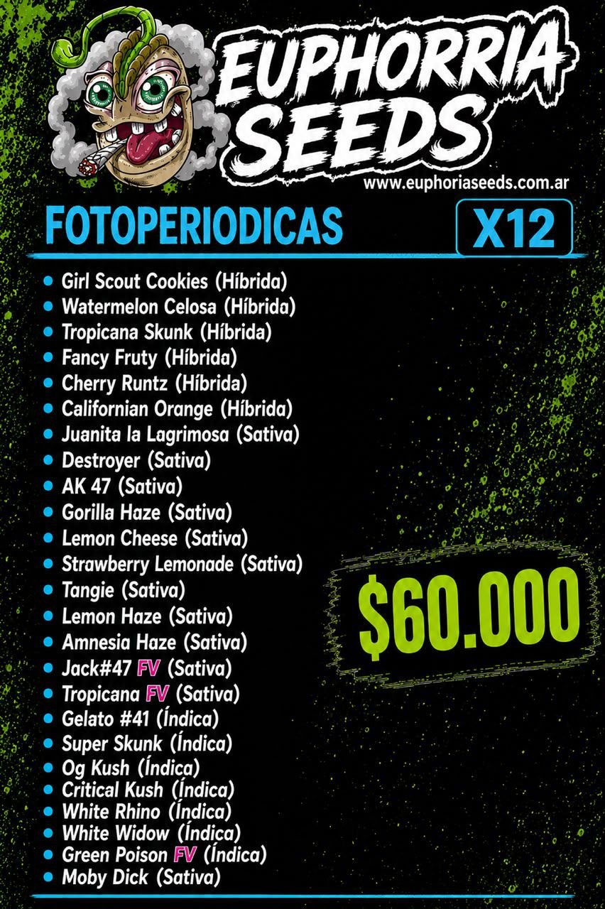 MIX FEM X12 - SELECCION 2 GENETICAS