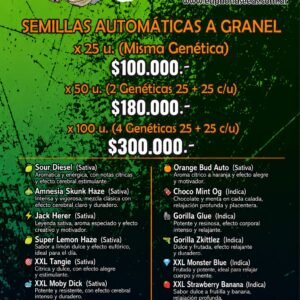 AUTOMATICAS A GRANEL X25