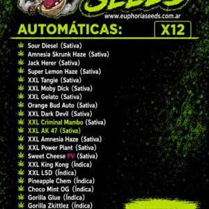 MIX AUTO X12 - SELECCION 2 GENETICAS