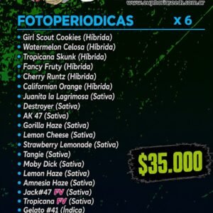 MIX FEM X6 - SELECCION 2 GENETICAS
