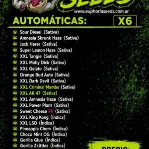 MIX AUTO X6 - SELECCION 2 GENETICAS