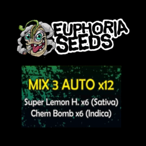 MIX 3 - AUTO X12 - SUPER LEMON HAZE + CHEM BOMB