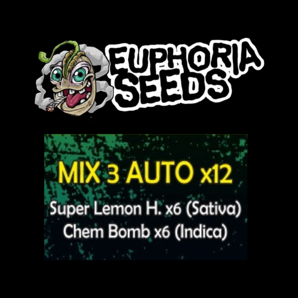 MIX 3 - AUTO X12 - SUPER LEMON HAZE + CHEM BOMB