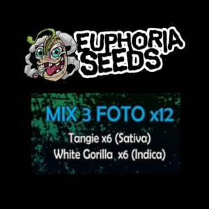 MIX 3 - FEM X12 - TANGIE + WHITE GORILLA