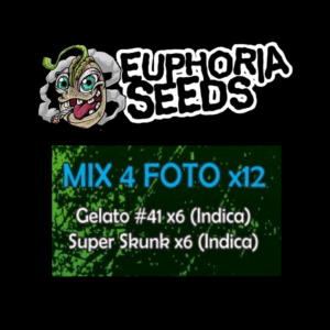 MIX 4 - FEM X12 - GELATO #41 + SUPER SKUNK