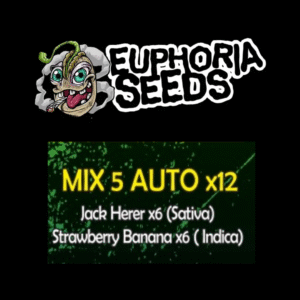 MIX 5 - AUTO X12 - JACK HERER + STRAWBERRY BANANA