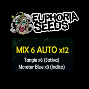 MIX 6 - AUTO X12 - XXL TANGIE + MONSTER BLUE