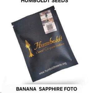 HUMBOLDT SEEDS - FEM - BANANA SAPPHIRE X3 (Indica)