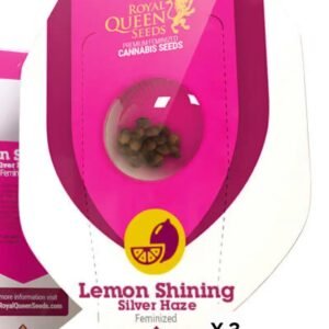 Royal Queen Seeds -Fem- Lemon Shining Silver Haze x3 (Sativa)