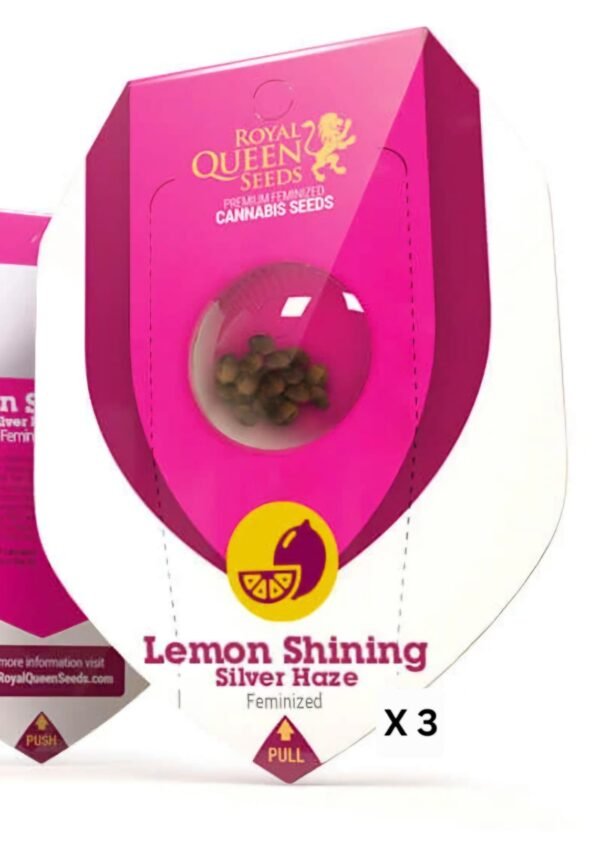 Royal Queen Seeds -Fem- Lemon Shining Silver Haze x3 (Sativa)