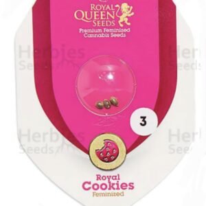 Royal Queen Seeds -Fem- Royal Cookies x3 (Indica)