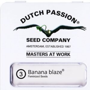 Dutch Passion -Fem- Banana Blaze x3 (Indica)