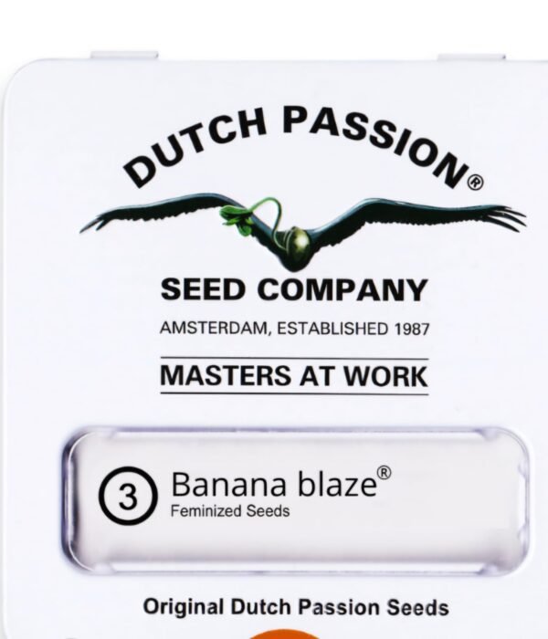 Dutch Passion -Fem- Banana Blaze x3 (Indica)