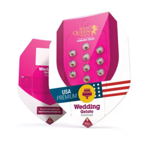 Royal Queen Seeds -Fem- Wedding Gelato x3 (Indica)